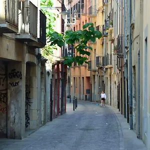 Housing Ginesta 9 Appartamento Girona